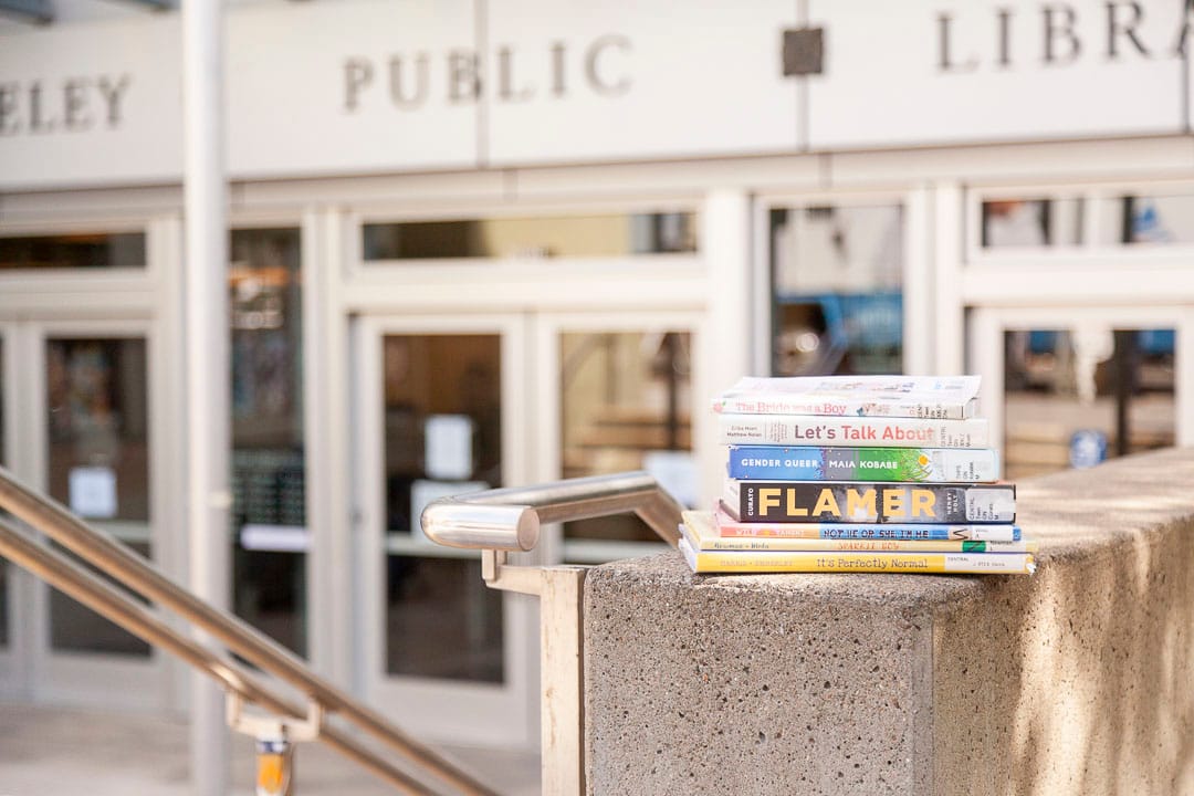 2025 Groomer Books Tier List